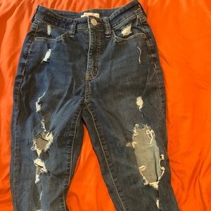 curvy jeggings! they’re very stretchy and i’ve barely worn them.